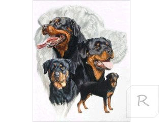 Haft Diamentowy, Obraz, Mozaika Diamentowa Diamond Painting, PIES - ROTTWEILER 30x40cm