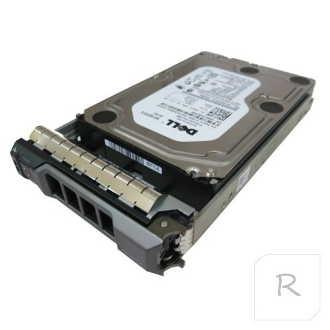 Dell Server HDD 2.5" 1.2TB 10000 RPM, Hot-swap, in 3.5" HYBRID carrier, SAS, 12 Gbit/s, (PowerEdge 13G R330,R430,R530,R730,T330,