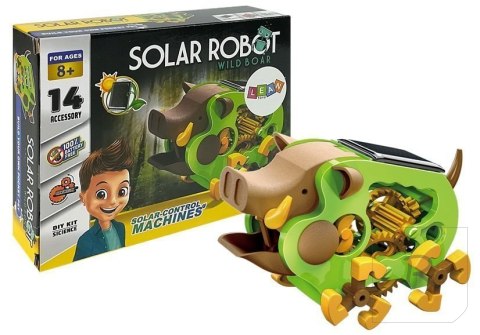 Edukacyjny Robot Do Złożenia Solarny Dzik DIY Zielony