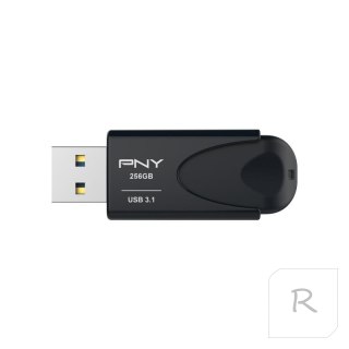 Pendrive (Pamięć USB) PNY (256 GB \Czarny )