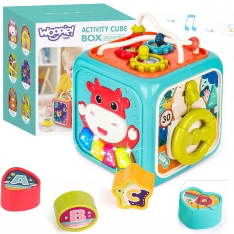 WOOPIE Kostka Sensoryczna Edukacyjna Montessori Sorter 6w1