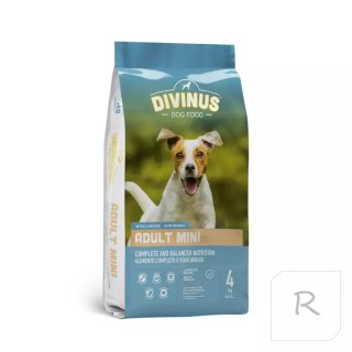 PRÓBKA Divinus Adult Mini 100g