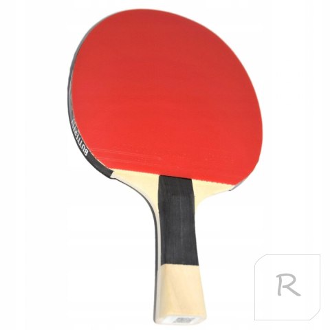 Rakietka do Tenisa Stołowego BUTTERFLY Timo Boll SG33