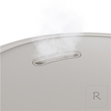 Duux | Neo | Smart Humidifier | Water tank capacity 5 L | Suitable for rooms up to 50 m² | Ultrasonic | Humidification capacity