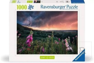 Puzzle 1000 Nadchodzi burza