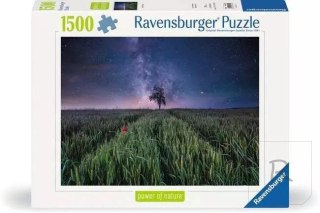 Puzzle 1500 Pola i gwiazdy