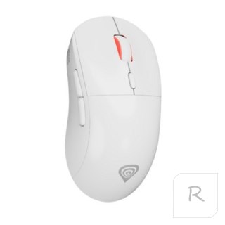 Zircon XIII Custom | Wireless | Gaming Mouse | 2.4 GHz, USB | White