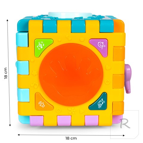 Kostka edukacyjna interaktywna sorter dźwięki 6w1