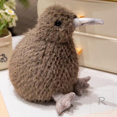 Kiwi Ciemnobrązowy 20cm