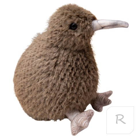 Kiwi Ciemnobrązowy 20cm