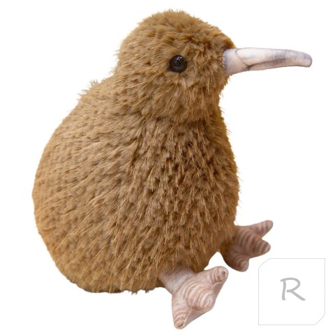 Kiwi Jasnobrązowy 20cm