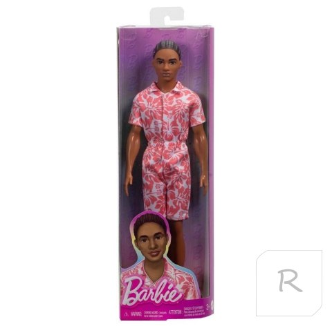 Barbie Fashionistas. Ken Stylowy HYT99