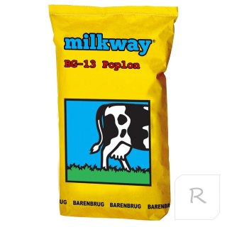 Trawa Poplonowa Barenbrug BG-13 Milkway Poplon 15kg