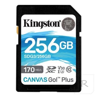 Kingston Canvas Go! Plus 256 GB, SD, Flash memory class 10