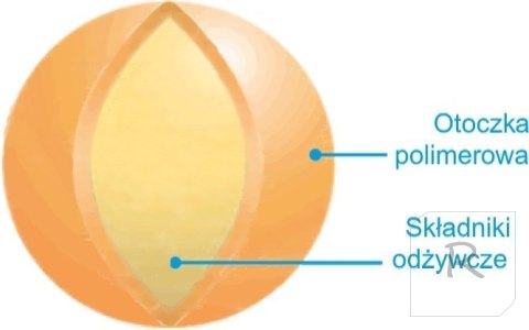 Nawóz Barenbrug BarFertile Regeneration 20kg