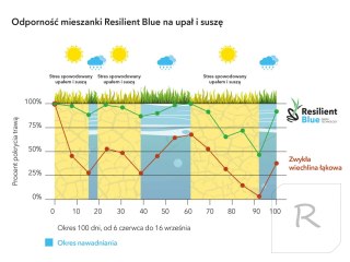 Trawa Barenbrug Na Suszę Resilient Blue - Ekstremalne Warunki 15kg