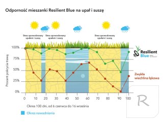 Trawa Barenbrug Na Suszę Resilient Blue - Ekstremalne Warunki 5kg