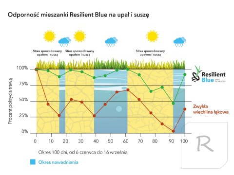 Trawa Barenbrug Na Suszę Resilient Blue - Ekstremalne Warunki 5kg