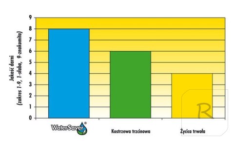 Trawa Barenbrug Odporna na Suszę Water Saver Dry Strong 15kg