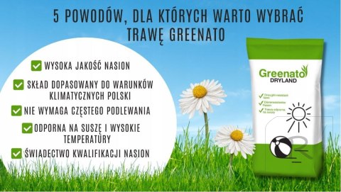 Trawa Odporna na Suszę Greenato Dryland 1kg