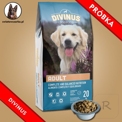 PRÓBKA Divinus Adult dla psów dorosłych 150g